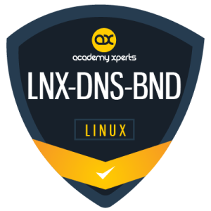 Creación de Servidores DNS con Linux BIND (LNX-DNS-BND) Academy Xperts